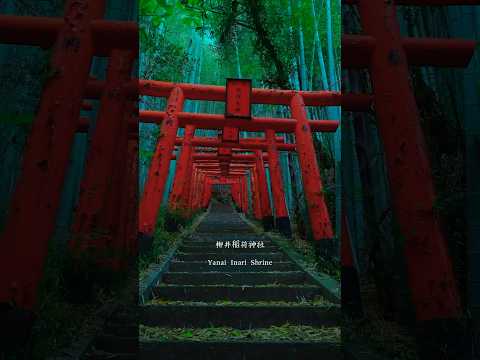 Top mysterious Best shrines in Japan to visit underrated travel destinations 2025 神社 #japantravel