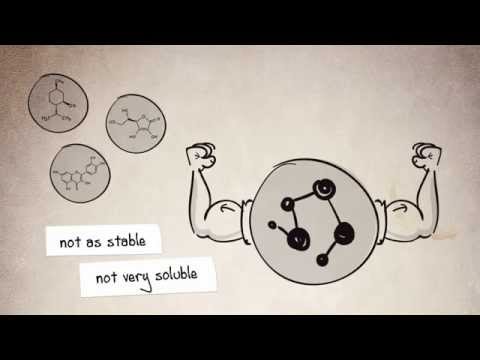 NOVOSIDES - enzymatic glycosylation of small molecules