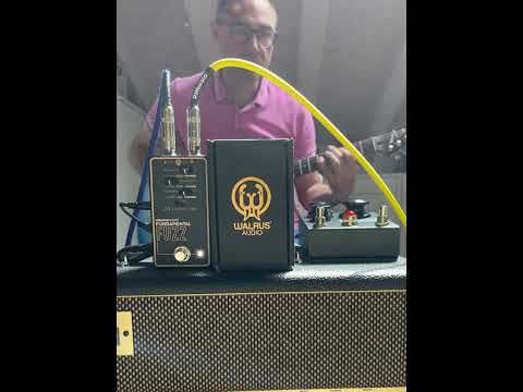 Walrus audio fundamental fuzz gate mode #pedalboard #demo #guitar #fuzzpedals #walrusaudio #gear