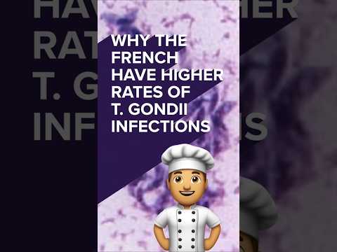 Why the French have higher rates of Toxoplasma gondii infections
